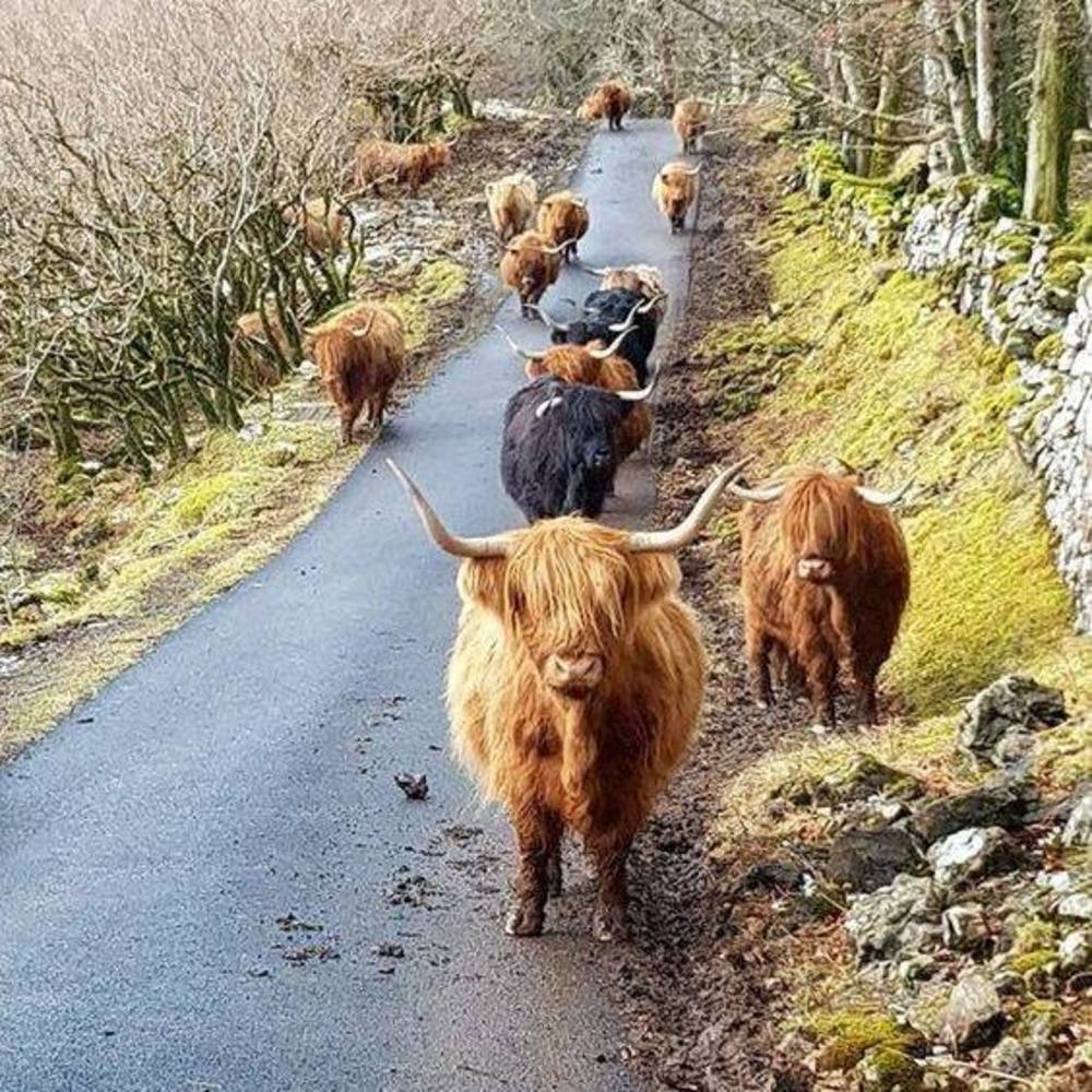 Meet your Posher, Leslie